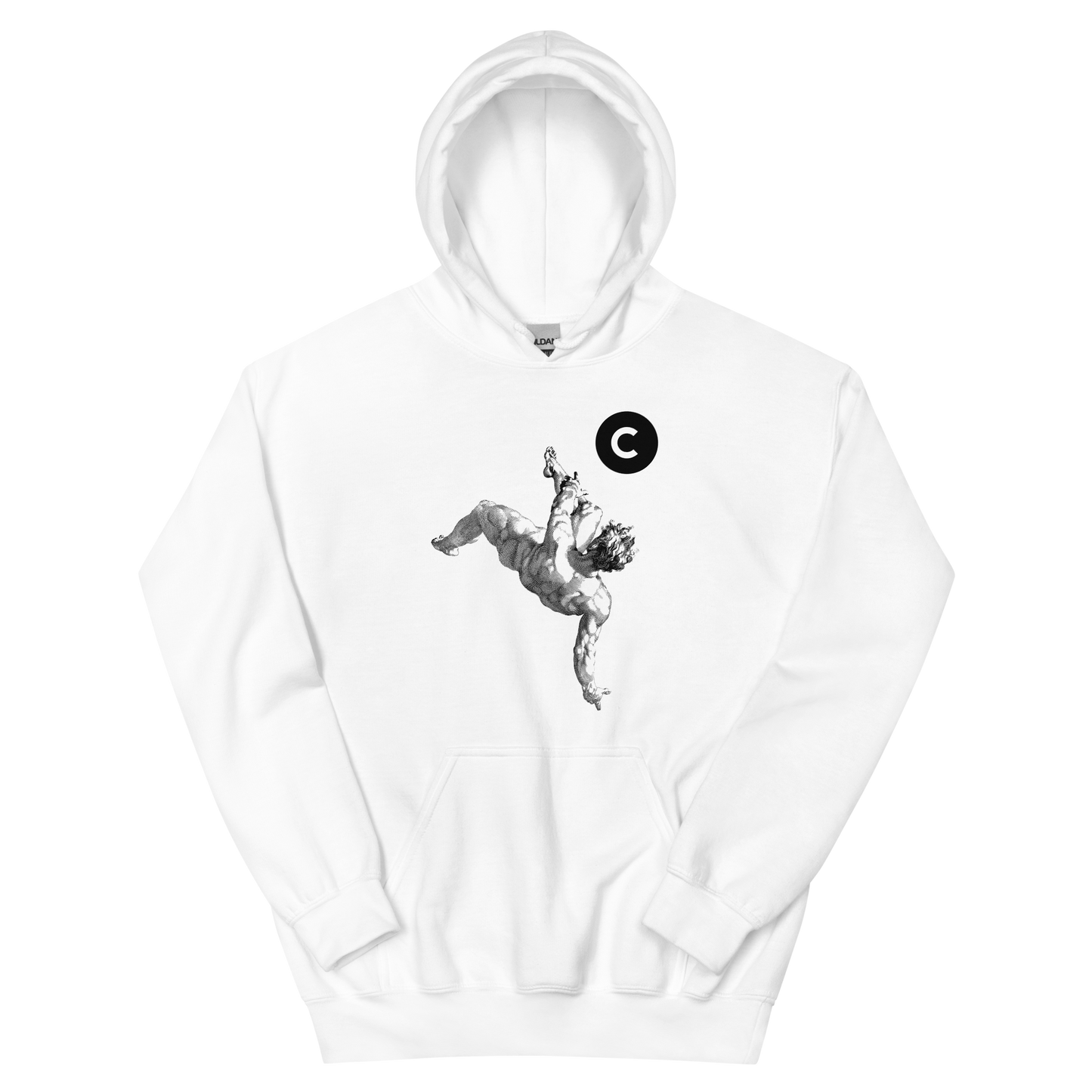 Michaelangelo's Overhead | Hoodie